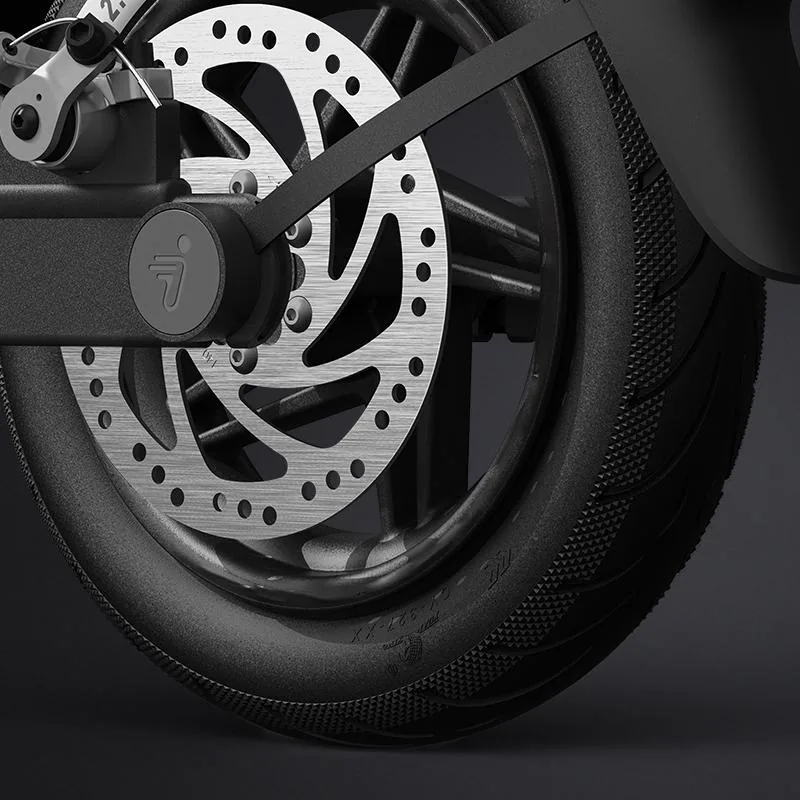 Segway-Ninebot Ninebot F30E elektrische step